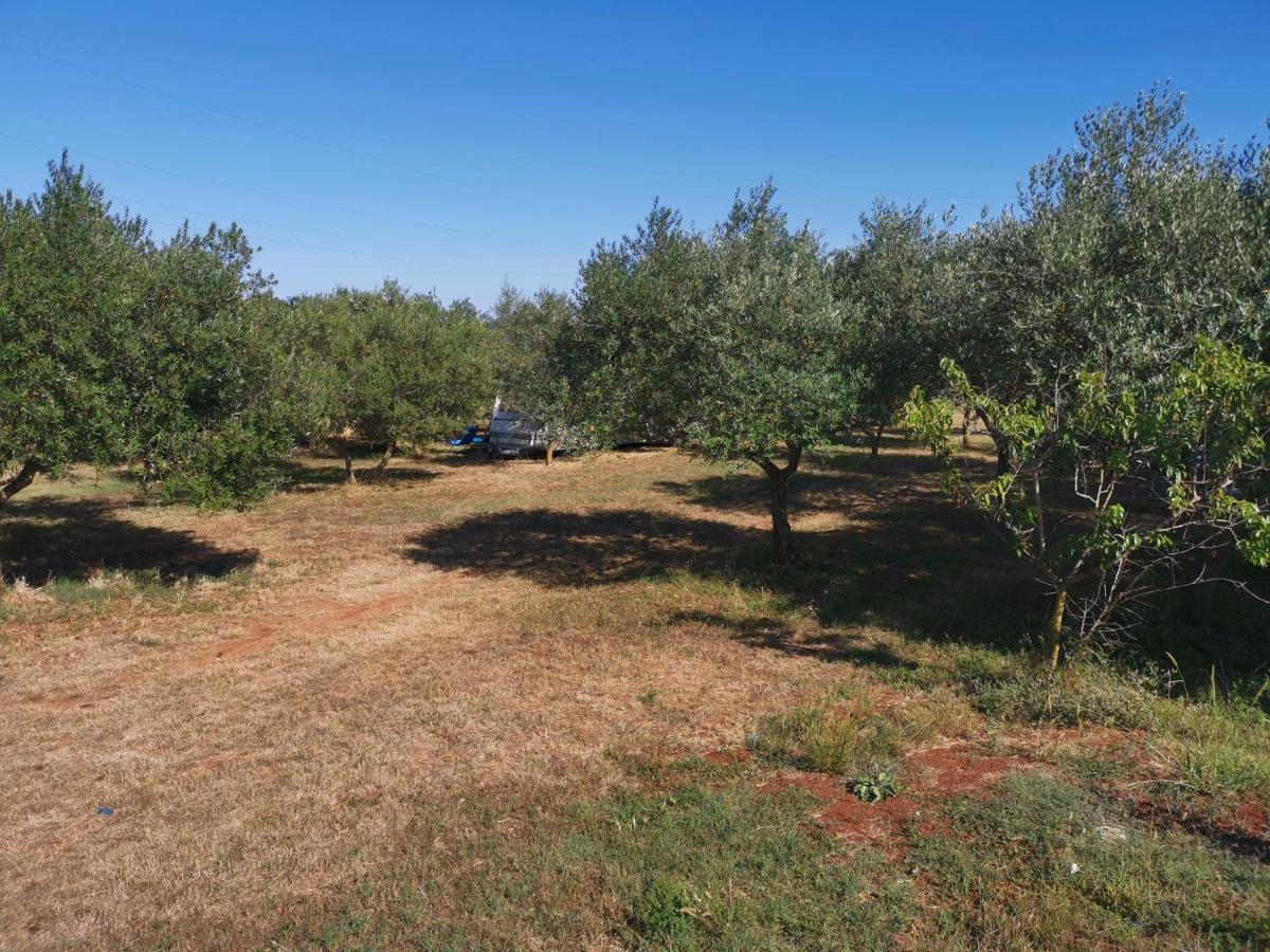 PUY Jacuzi Cottage In The Olive Grove מראה חיצוני תמונה