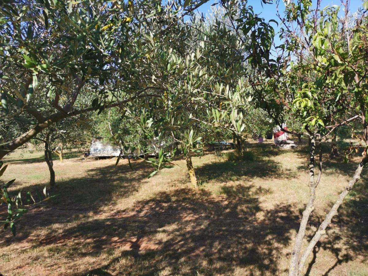 PUY Jacuzi Cottage In The Olive Grove מראה חיצוני תמונה