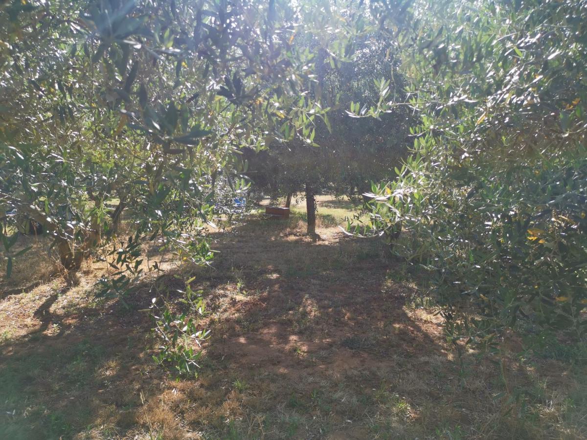 PUY Jacuzi Cottage In The Olive Grove מראה חיצוני תמונה