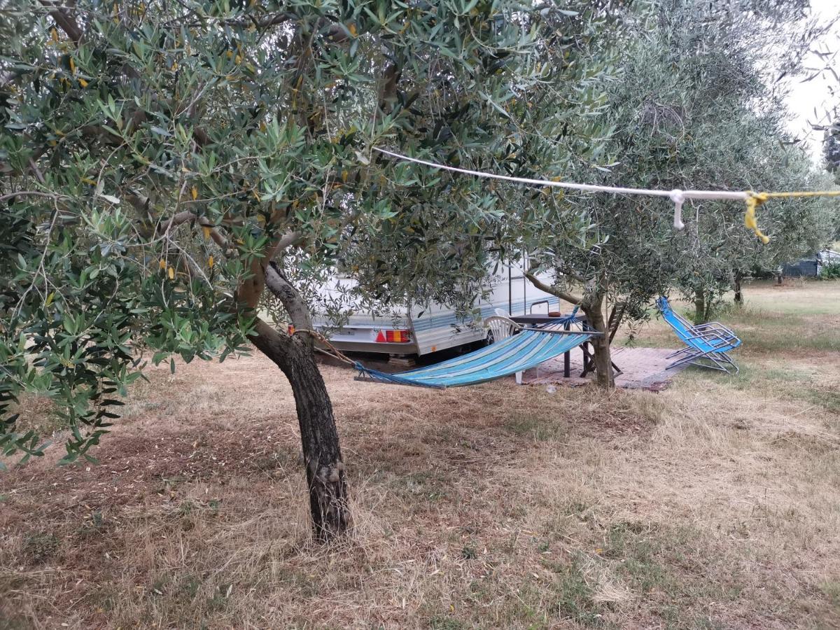 PUY Jacuzi Cottage In The Olive Grove מראה חיצוני תמונה